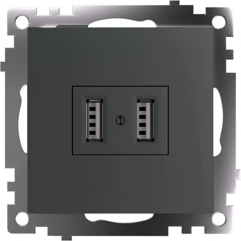 Розетка с USBх2 (графит) Stekker Катрин 49422