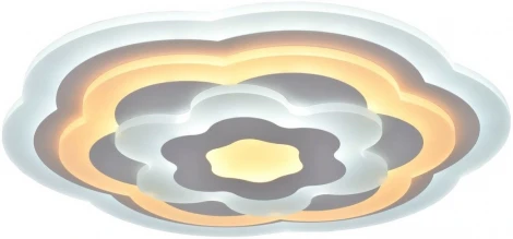 Настенно-потолочный светильник Мелодия Света CW1L 000024223