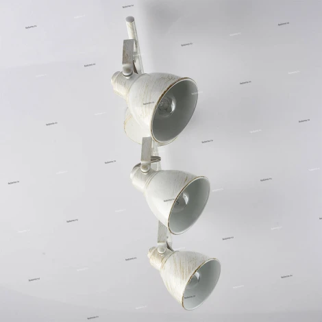 Спот DeMarkt Ринген 547021103