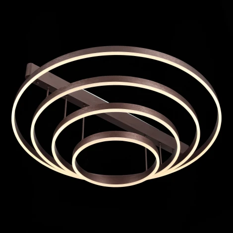 Потолочная люстра ST Luce Onze SL944.402.04