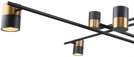 Потолочная люстра на штанге Chart 3092-10P F-Promo (220V)