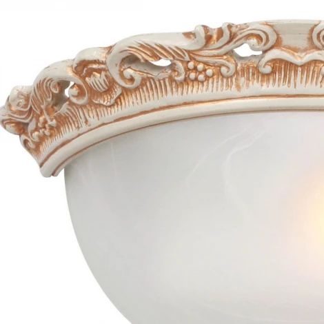 Потолочный светильник Favourite Plafond 1444-1W