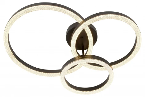 Потолочная люстра на штанге светодиодная с пультом ЭРА Bloom CLL-1-110-RC BK