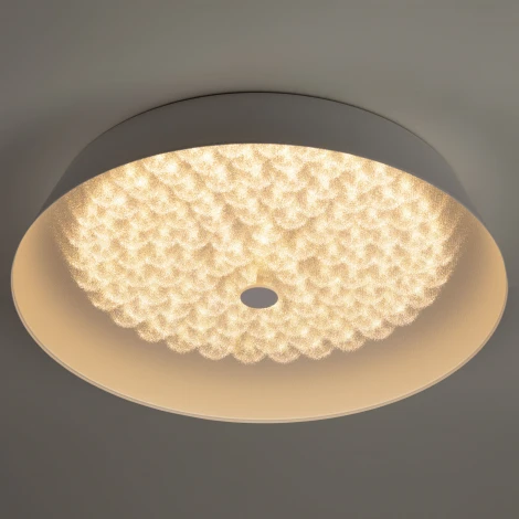 Потолочный светильник круглый светодиодный с пультом регулировкой цветовой температуры и яркости ЭРА SPB-6-80-RC Locus RGB (220V, круглые)