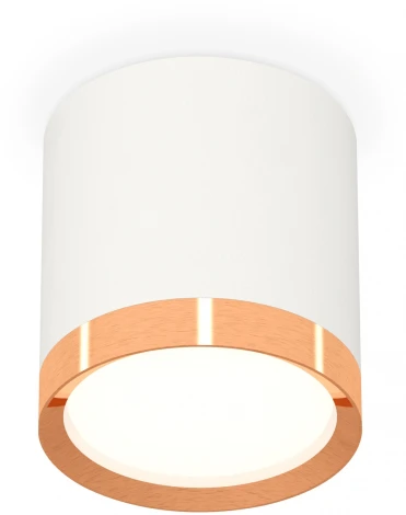 Накладной точечный светильник Ambrella Techno Spot XS8141005 (220V, круглые)