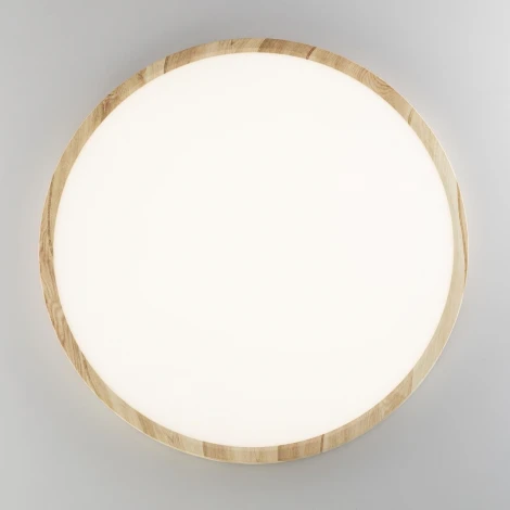 Настенно-потолочный светильник Citilux Бейсик CL738322V (регулировка яркости, LED, 220V, круглые, IP40)