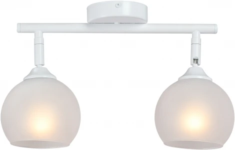 Спот на штанге Vitaluce V4313-0/2PL (220V)