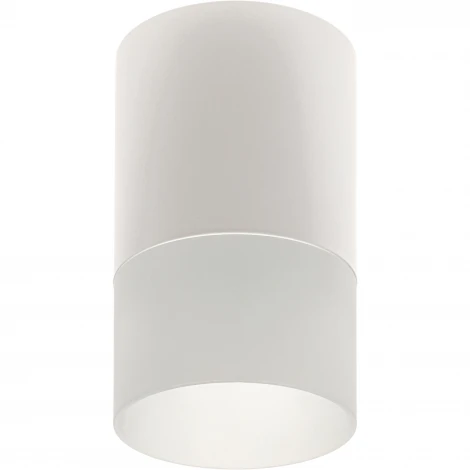 Накладной светильник Ritter Essen 52061 0