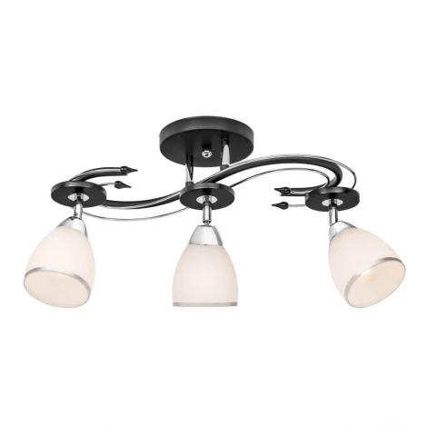 Потолочная люстра Silver Light Austerity 245.59.3