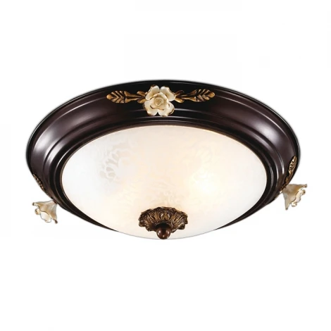Настенно-потолочный светильник Odeon Light Bone 2693/2C
