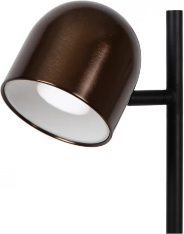 Торшер Lucide Skanska Rech 03749/03/96 (LED, 220V, IP44)