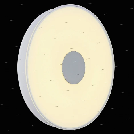 Потолочный светильник ST Luce Semplicita SL473.502.01