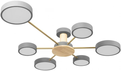 Потолочная люстра на штанге Loft It Sunrise 10316/6 Grey