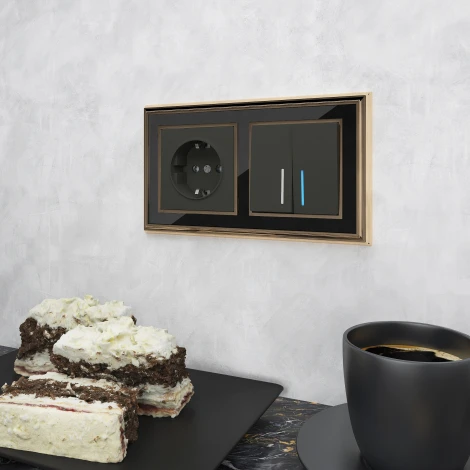 Рамка на 2 поста (золото/черный) W0021330 (a051208)