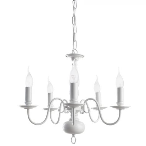 Подвесная люстра Arte Lamp Antwerpen A1029LM-5WC