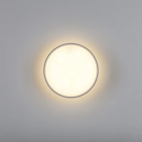 Накладной потолочный светильник Lightstar Acuto 215936 (LED, 220V, круглые)