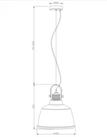 Подвесной светильник Maytoni Irving T163PL-01C