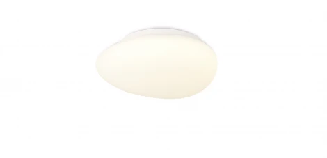 Потолочный светильник круглый Simple Story 1205 1205-LED12CL (220V, круглые)