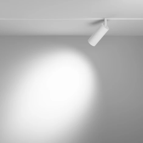 Трековый светильник магнитный светодиодный Voltega Exilight VGL032-2-12W4K-S-W 12Вт LED 48V