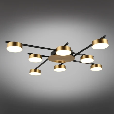 Потолочная люстра на штанге Aployt Delayn APL.042.07.56 (LED, 220V, круглые)