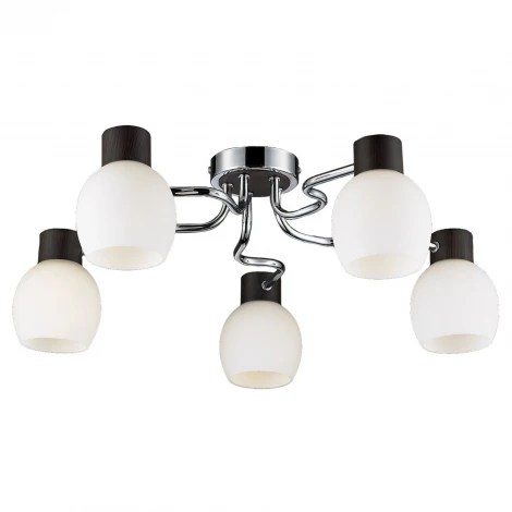 Потолочная люстра Lussole Carpino LSC-8503-05