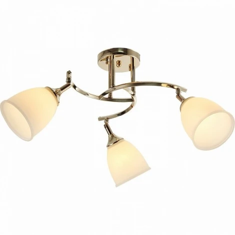 Потолочная люстра на штанге Мелодия Света SS1N 000030806