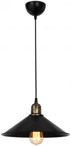 Подвесной светильник TopLight Delilah TL1606H-01BK