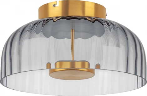 Потолочный светильник круглый светодиодный Lightstar Celesta 809061 (220V, круглые)