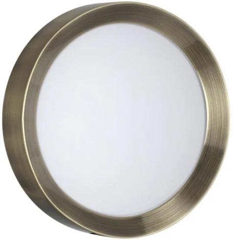 Настенно-потолочный светильник Odeon Light Lunor 4948/30CL