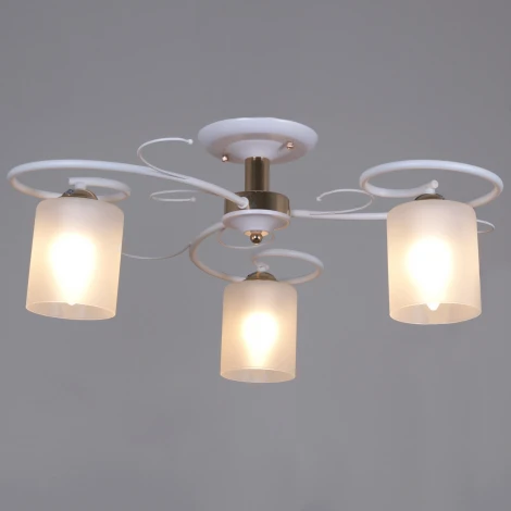 Потолочная люстра на штанге Reluce 00738-0.3-03 (220V)