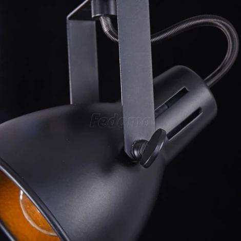 Спот Freya Ibbi FR4276-CW-01-B (220V, круглые)