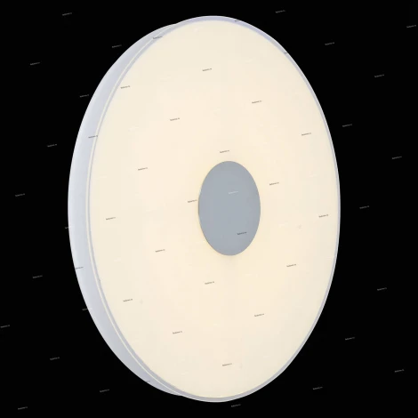 Потолочный светильник ST Luce Semplicita SL473.552.01