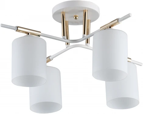 Потолочная люстра на штанге Ritter Salerno 52559 2