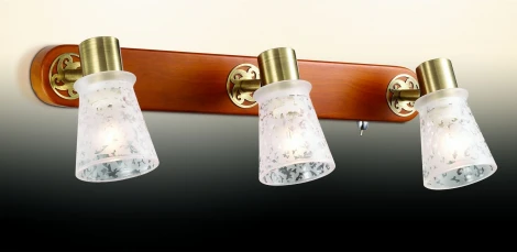 Спот Odeon Light Blanca 2614/3W