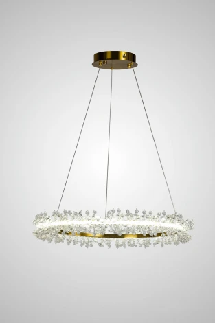 Подвесной светильник светодиодный AM Group AM455 L600 POLISHED GOLD (220V, на проводе, кольцо)