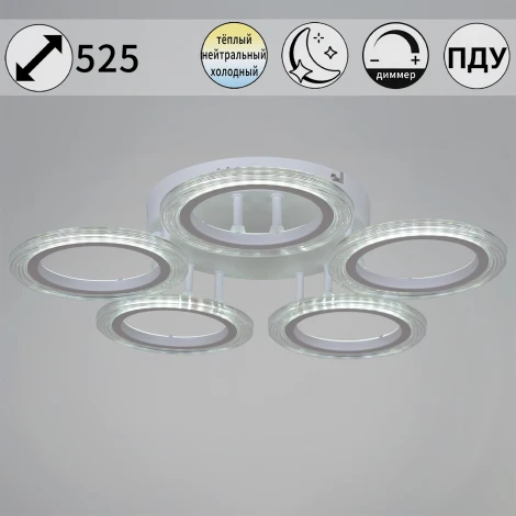 Потолочная люстра светодиодная на штанге с пультом Reluce 09812-3.3-05A WH (ночной режим, 220V, кольцо)