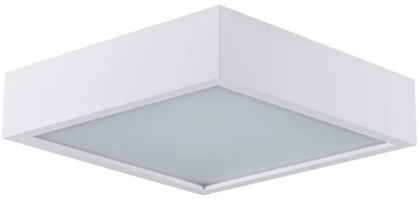 Потолочный светильник Kanlux MERSA 25678 (220V)