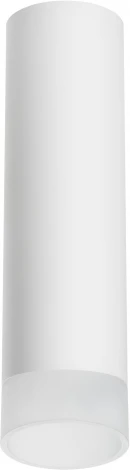 Точечный накладной светильник Lightstar Rullo R649681 (220V, круглые)