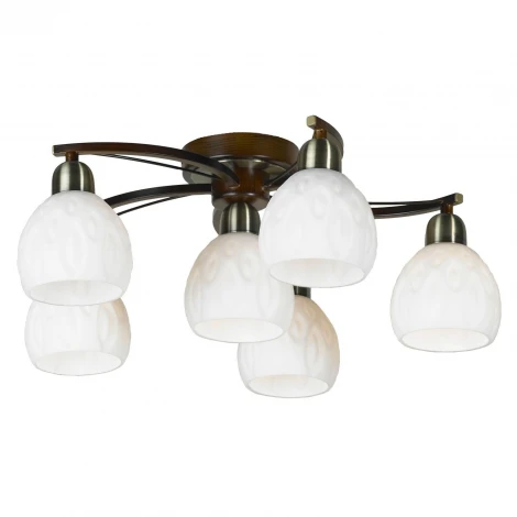 Потолочная люстра Lussole Mores LSL-8807-06