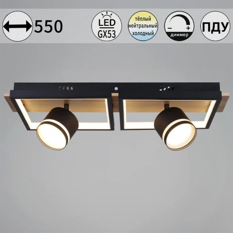 Потолочная люстра с пультом с регулировкой цветовой температуры, яркости и ночным режимом Reluce 19560-0.3-2+2 BK+WOOD