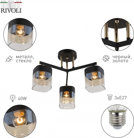 Потолочная люстра на штанге Rivoli Isadora 9133-303 (220V)