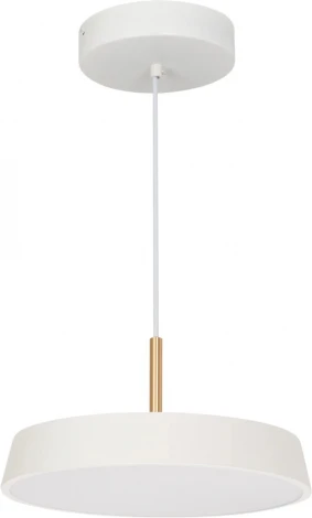 Светильник SP-ELEGANT-R300-17W Day4000 (WH, 120 deg, 230V) (Arlight, IP20 Металл) 033919(1)