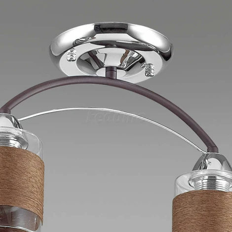 Потолочная люстра Lumion Filla 3030/2C