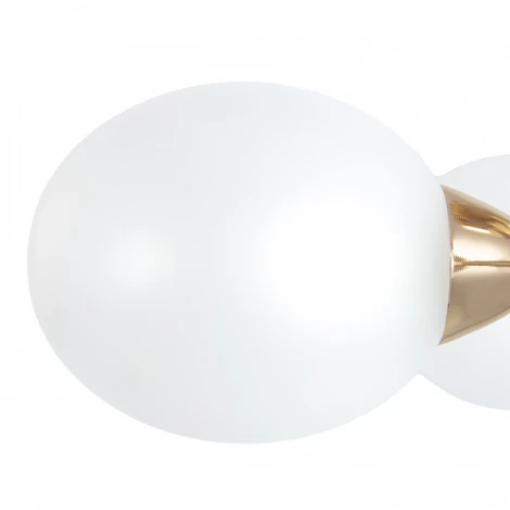 Потолочная люстра на штанге Arte Milano Napoli-2420 332420/5 FGD (220V)