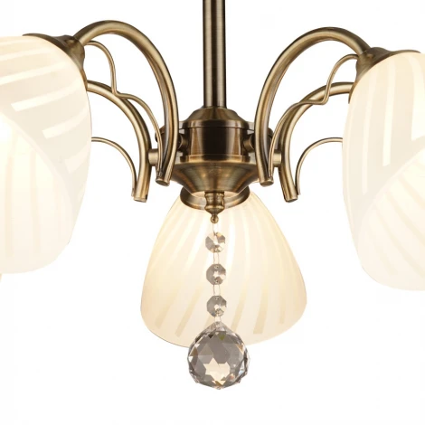 Потолочная люстра Wedo Light Rosta 66279.01.05.05