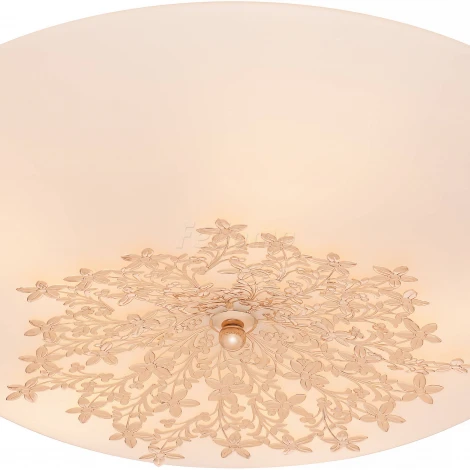 Настенно-потолочный светильник Silver Light Verbena 835.50.5