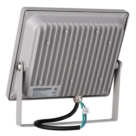 Прожектор уличный Elektrostandard 006 FL LED 50W 6500K IP65