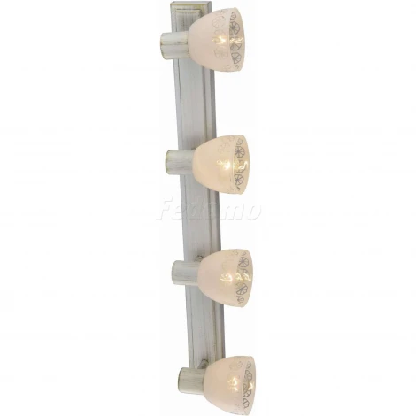 Спот Toplight Shona TL3740Y-04WG