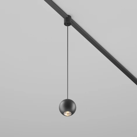 Трековый светильник Maytoni Elasity Sfera TR165-1-8W3K-M-B (LED, 48V, шар)