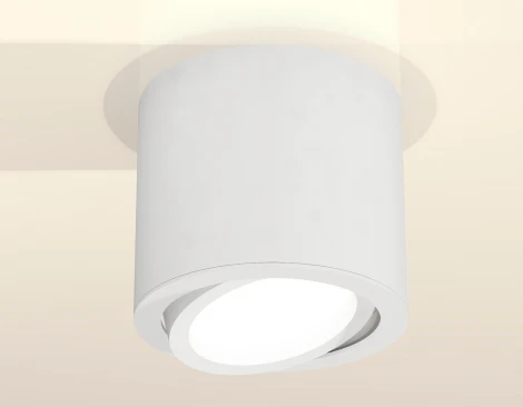 Накладной точечный светильник Ambrella Techno XS7401001 (220V, круглые)